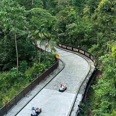 Luge tracks