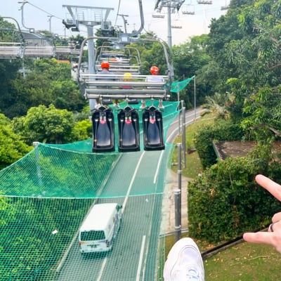 Skyride carts