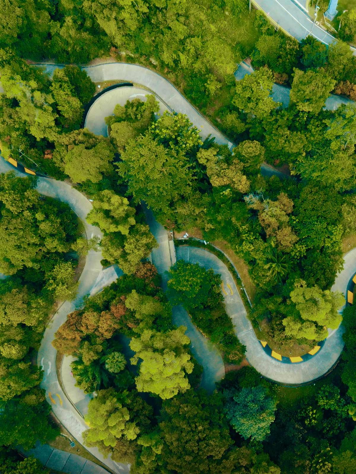 Skyline Luge Singapore Aerial Shot