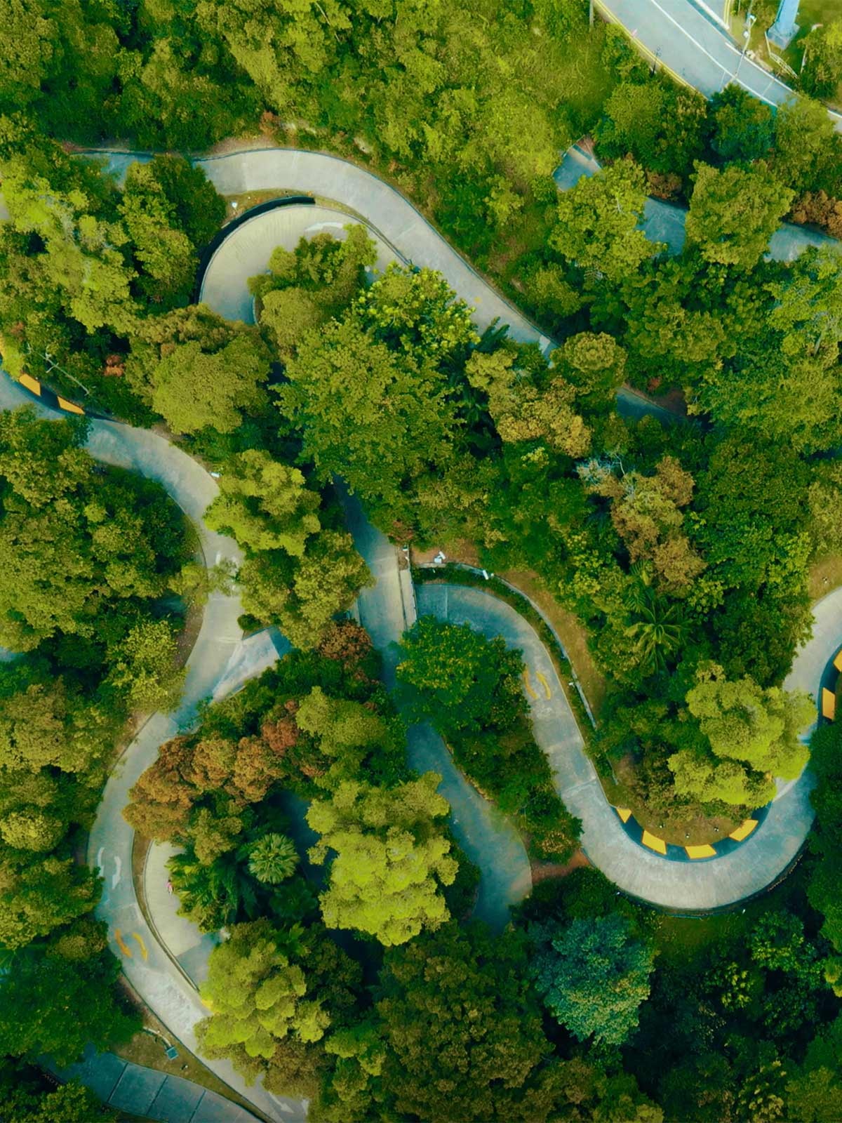 Skyline Luge Singapore Aerial Shot