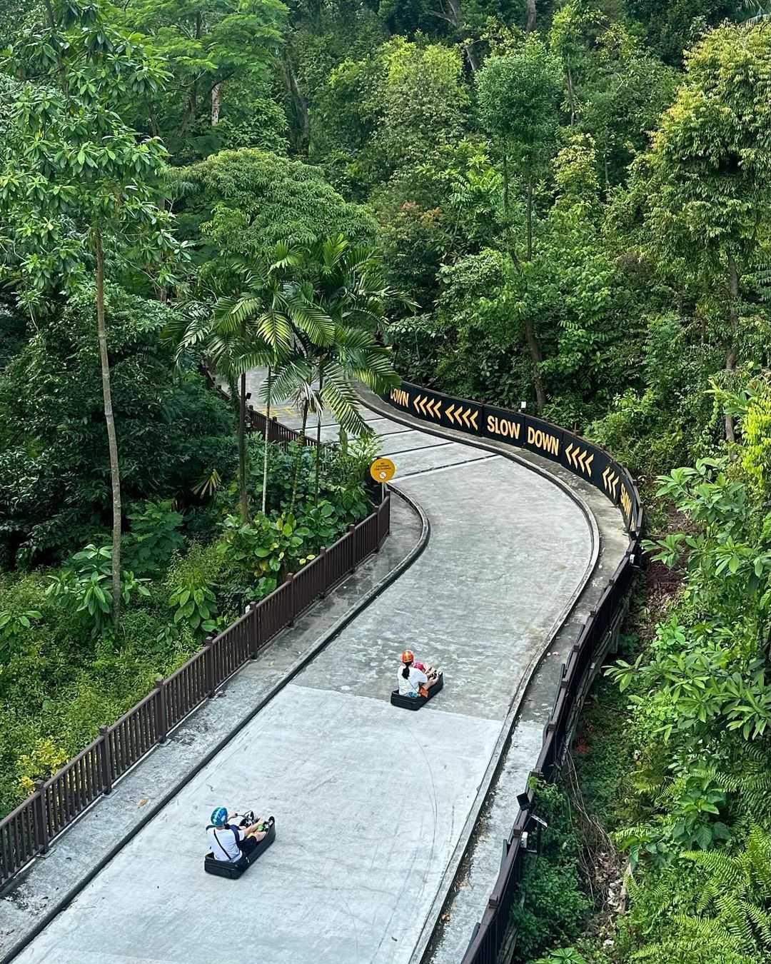 Luge tracks